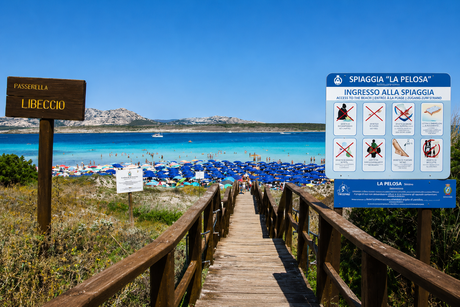 pelosa-regole-accesso